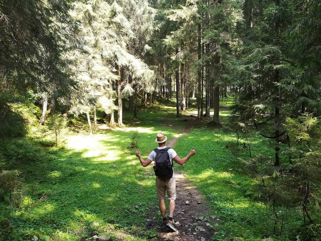 Pádis Erdély